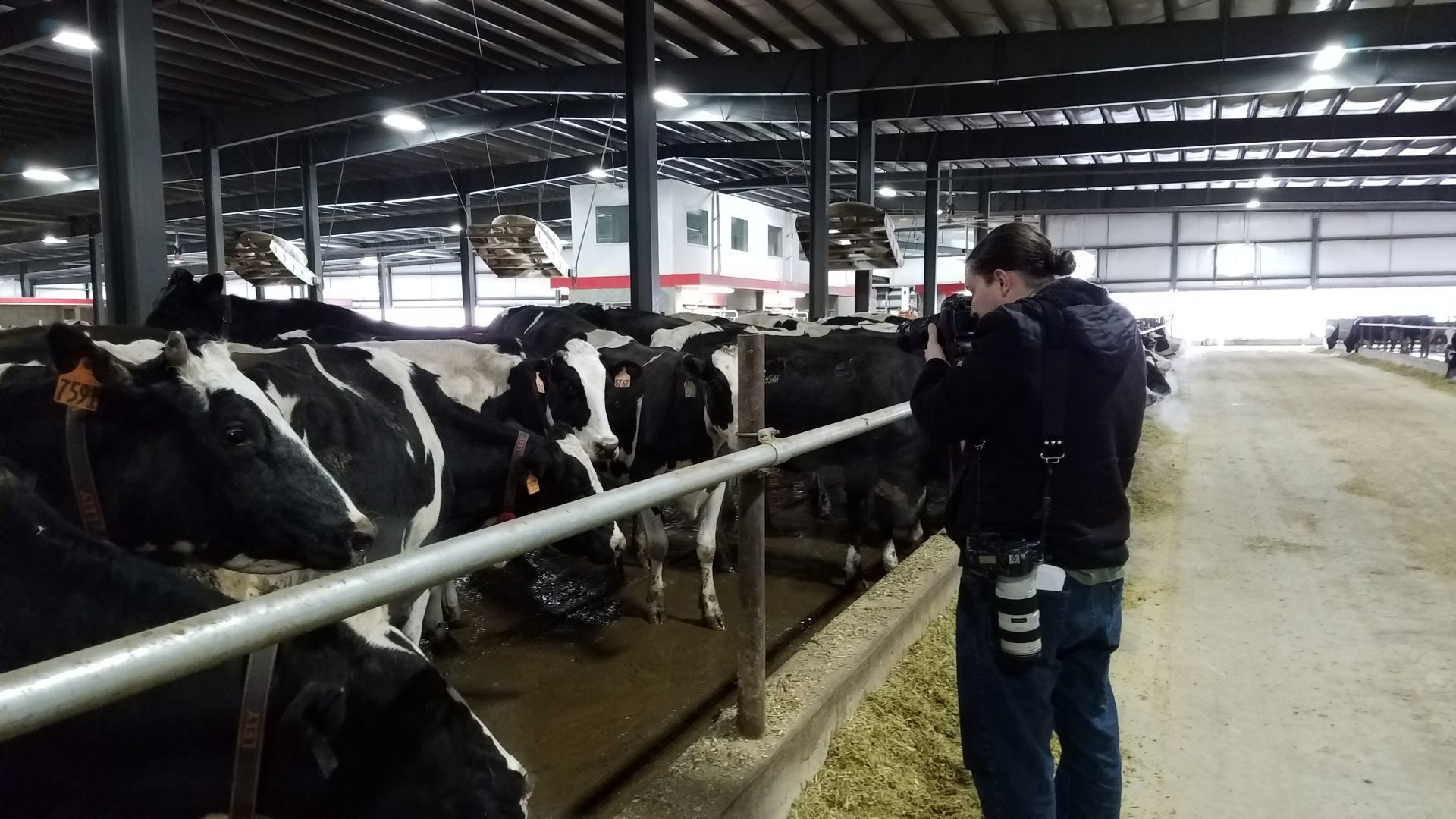 Pat at Heglar Creek Dairy